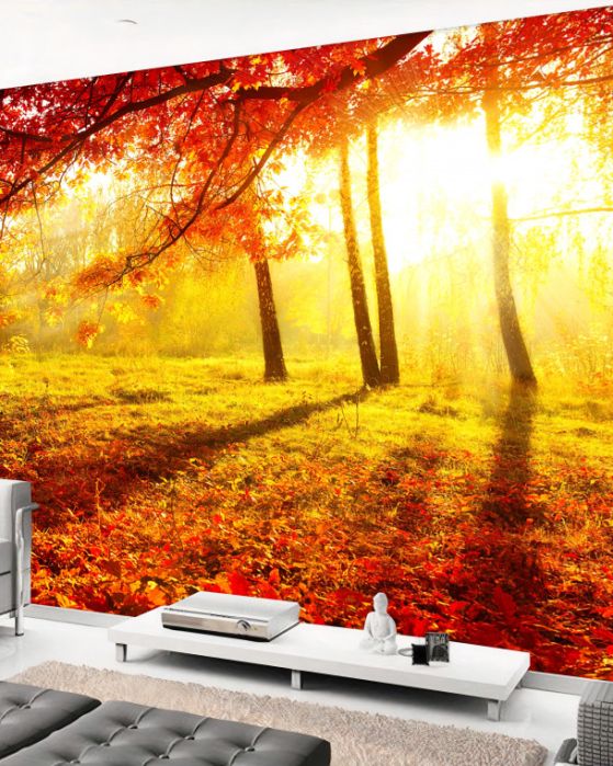 Dostawa gratis
