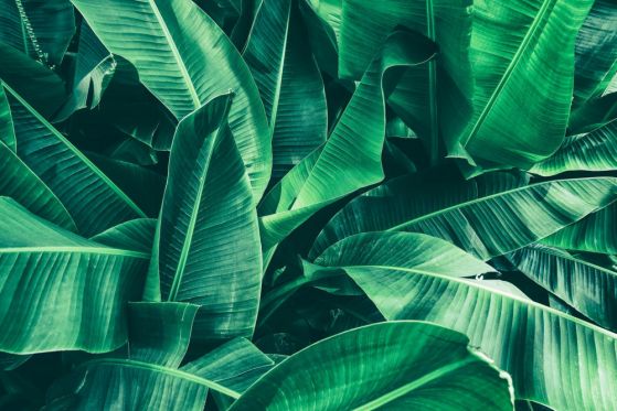 Dostawa gratis