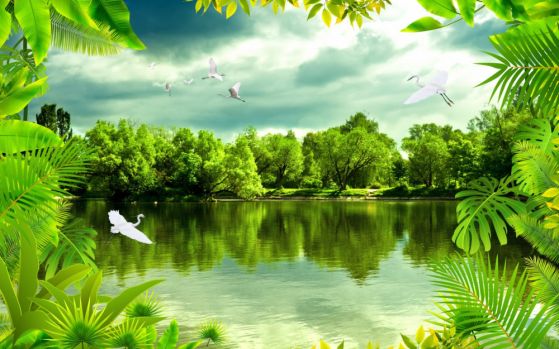 Dostawa gratis