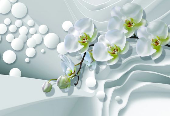 Dostawa gratis