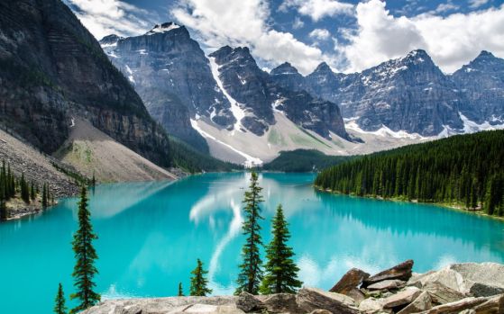 Dostawa gratis