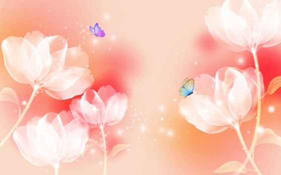 Dostawa gratis
