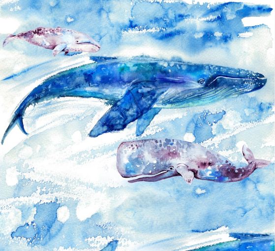 Dostawa gratis