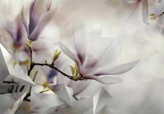 Dostawa gratis