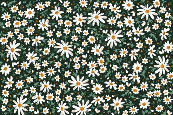 Dostawa gratis
