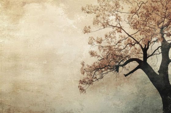 Dostawa gratis