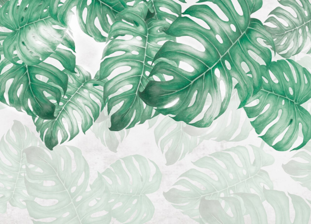 Last Product image