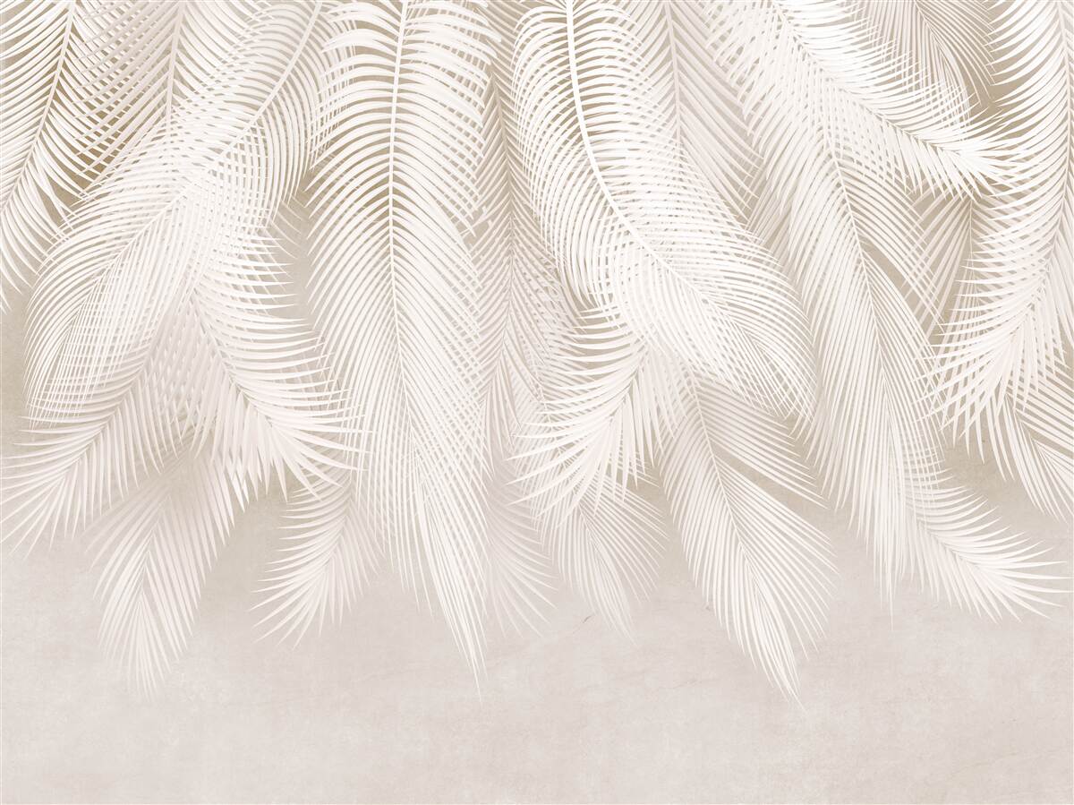 Last Product image