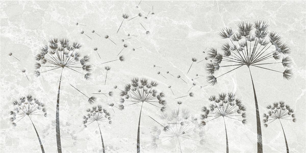 Last Product image