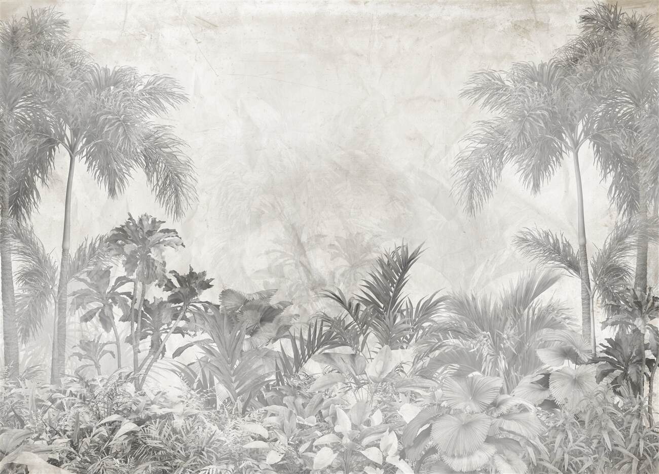 Last Product image