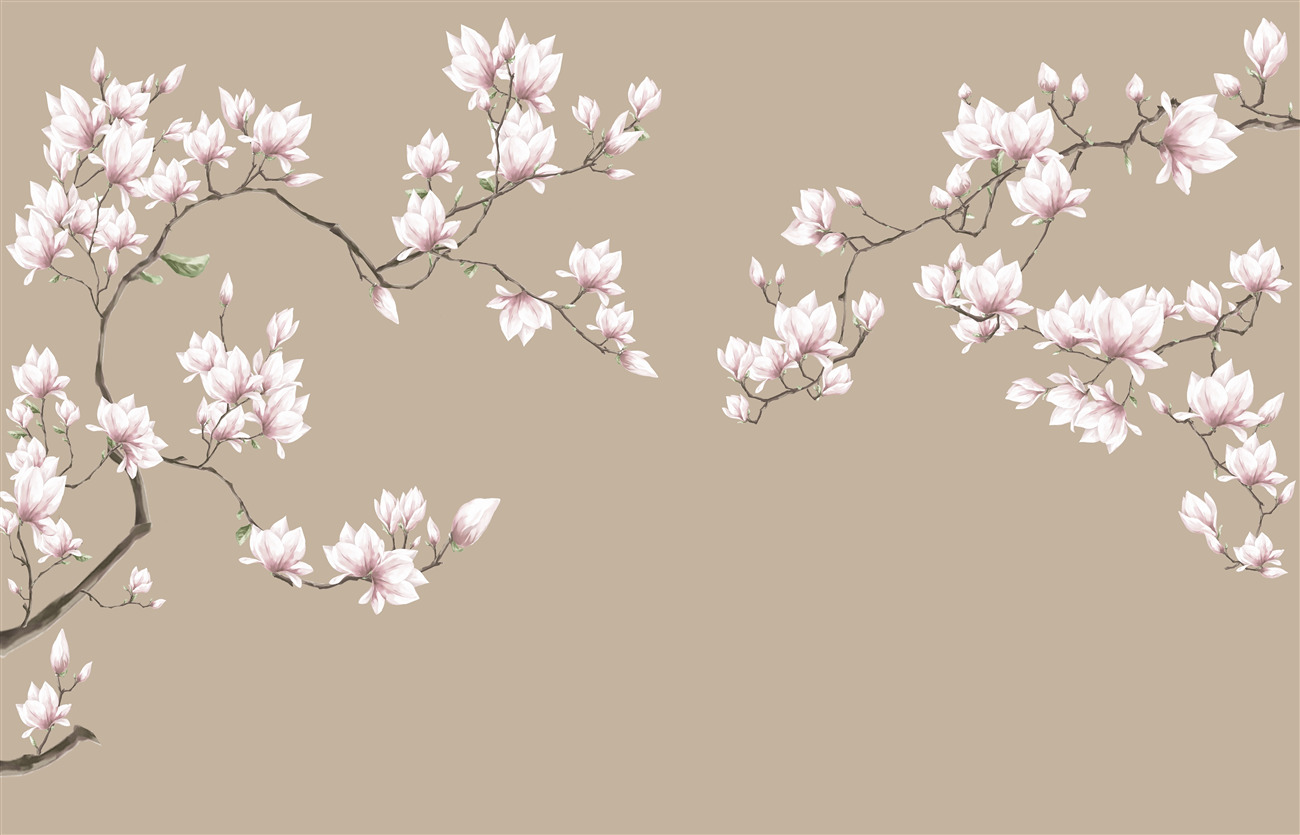 Last Product image