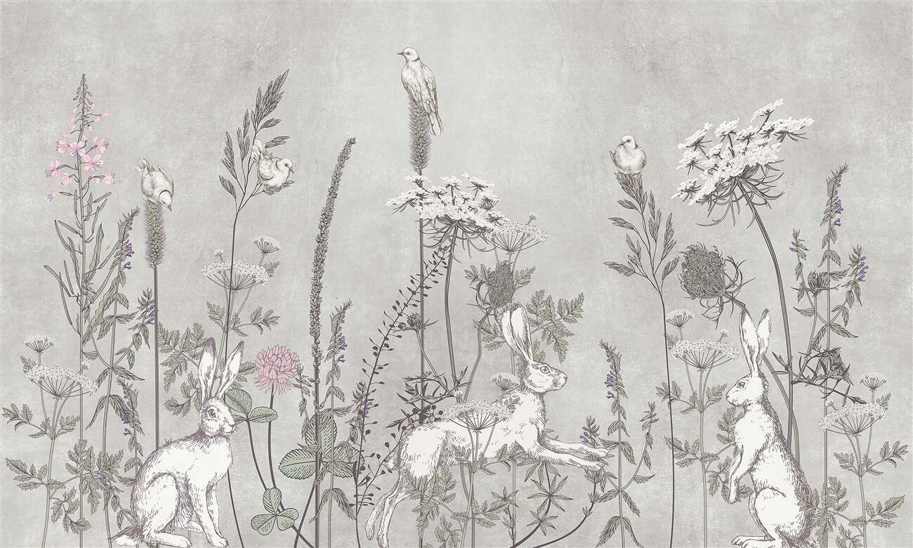 Last Product image