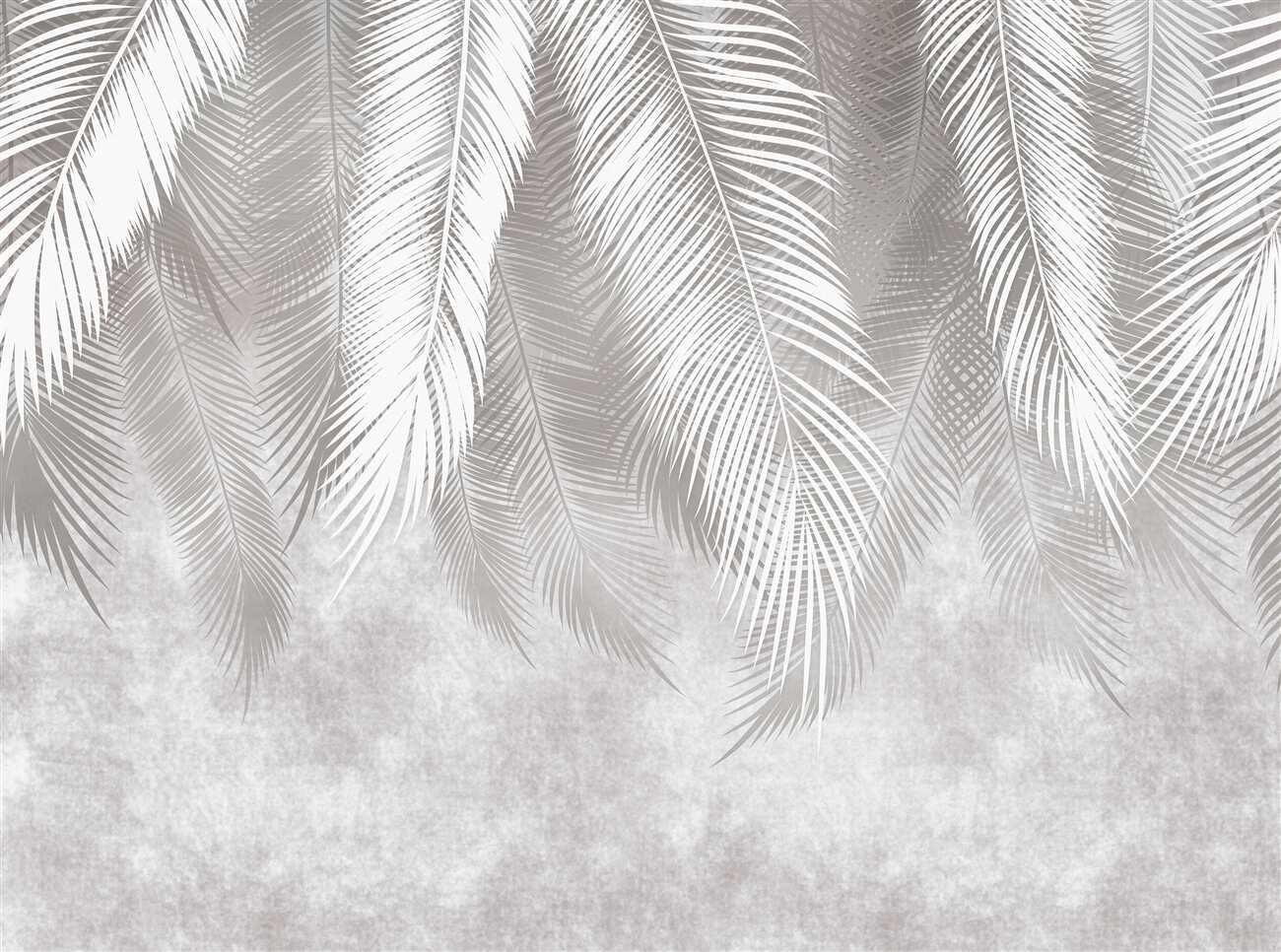 Last Product image