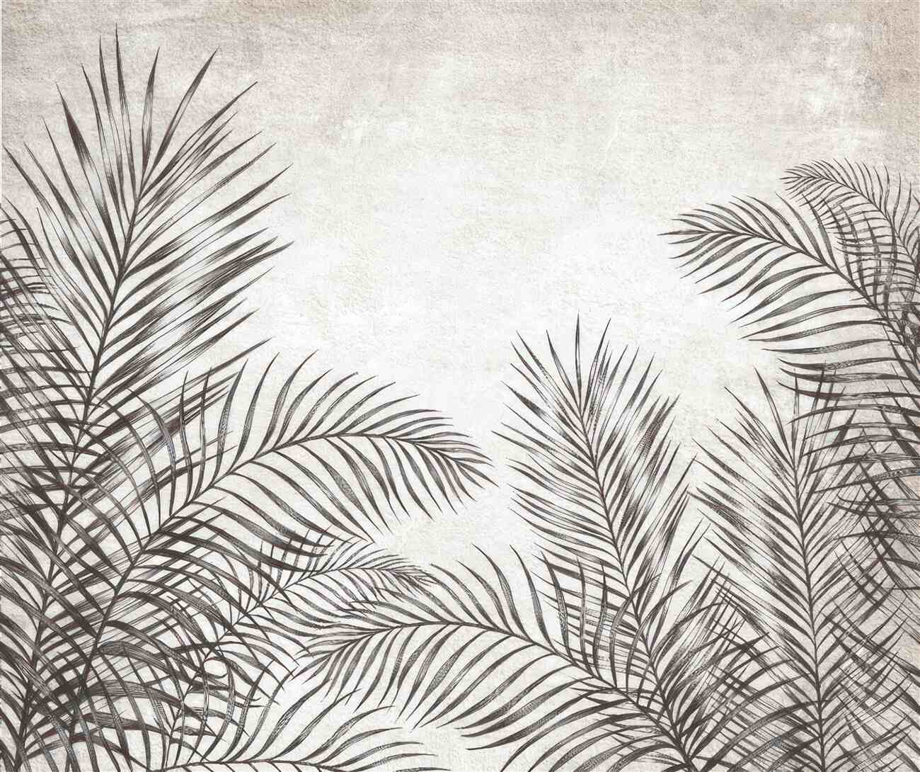 Last Product image
