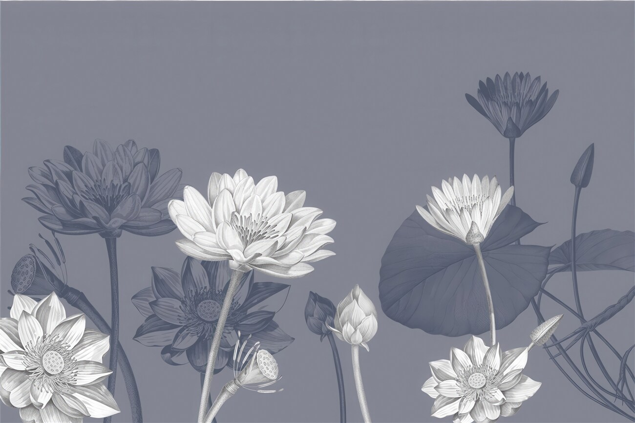 Last Product image