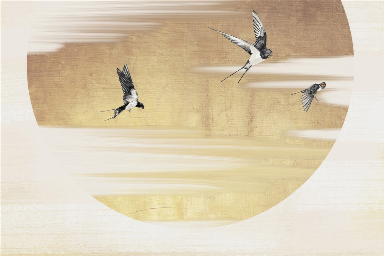 Last Product image