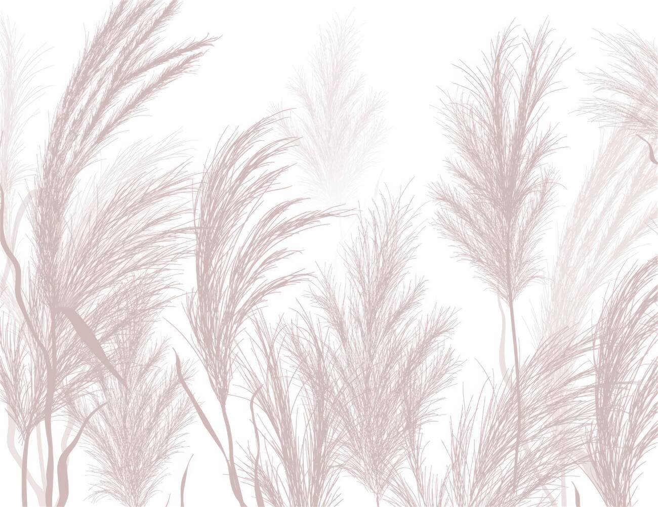 Last Product image