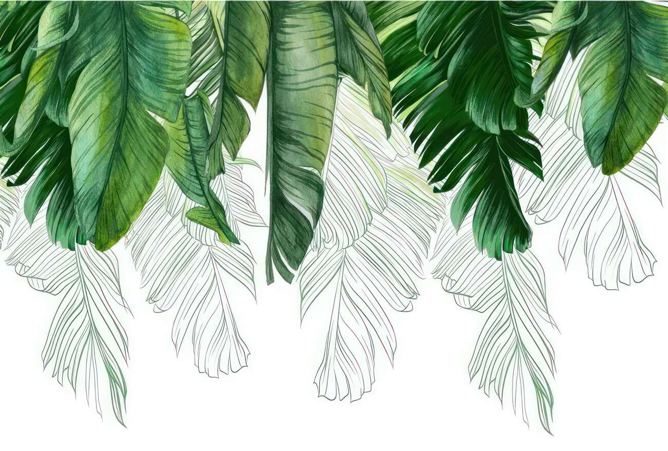 Last Product image