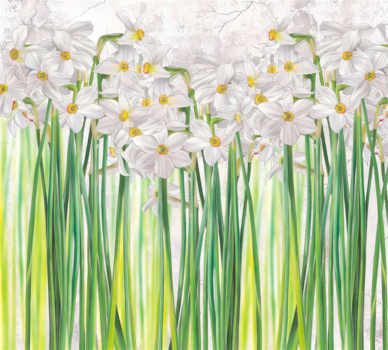 Last Product image