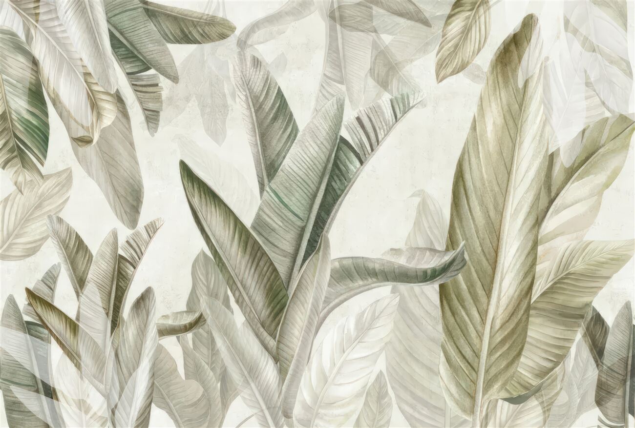 Last Product image