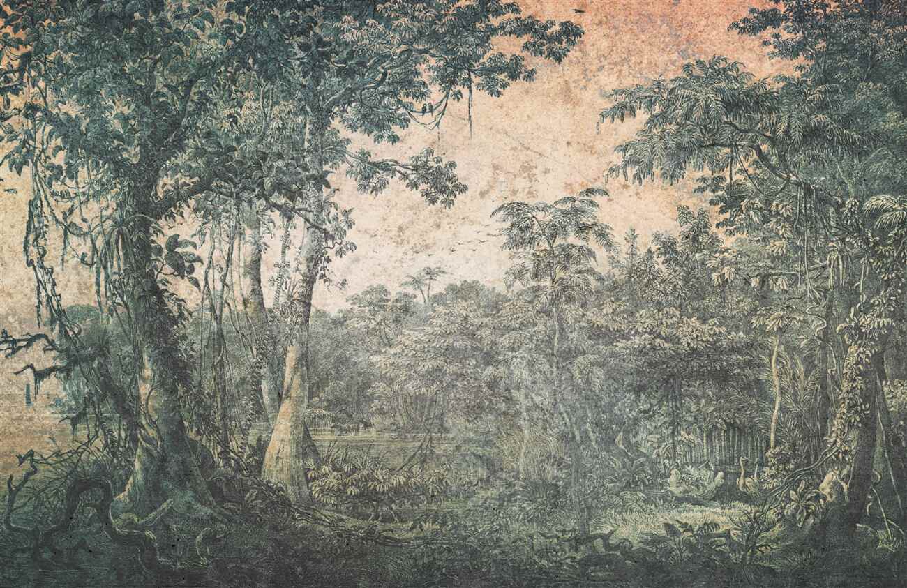 Last Product image