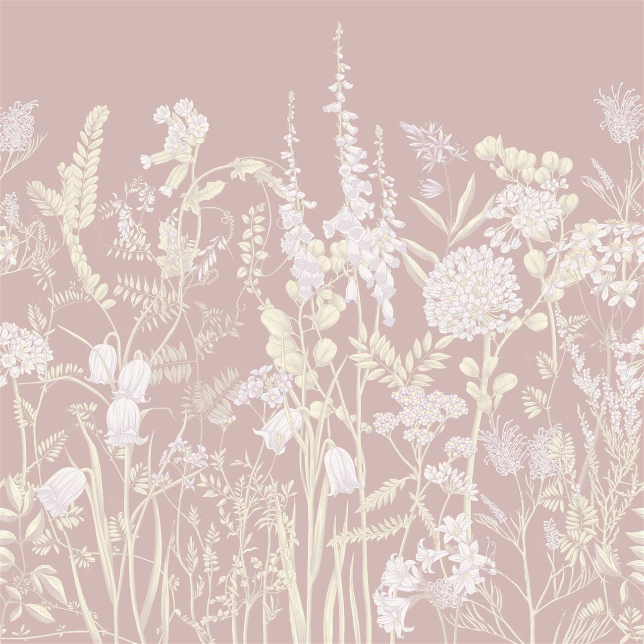 Last Product image