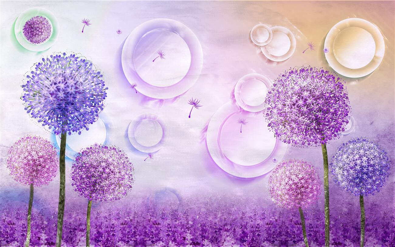 Last Product image