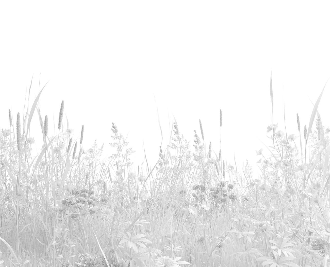 Last Product image