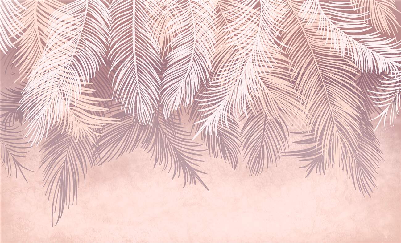 Last Product image