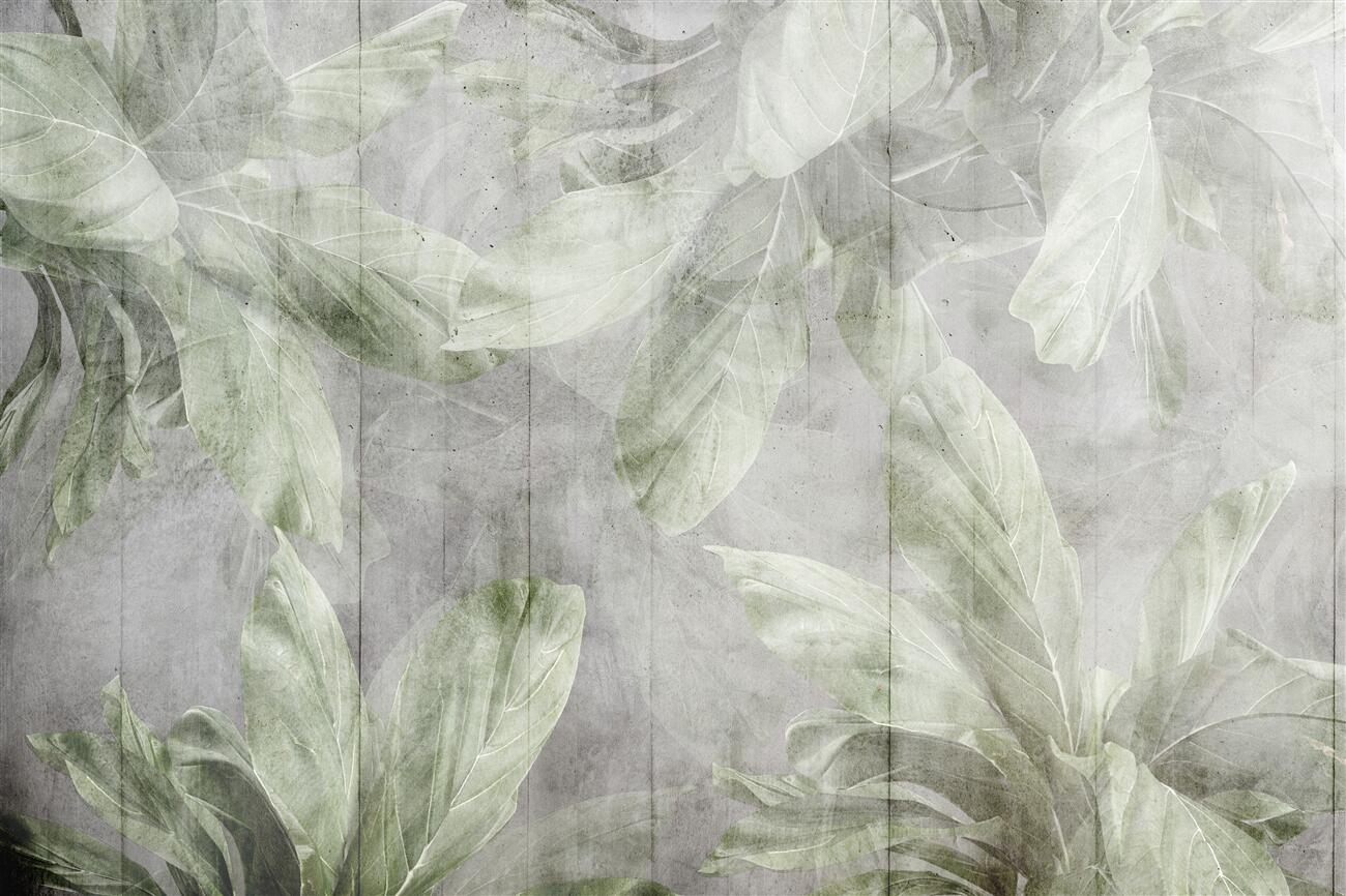 Last Product image