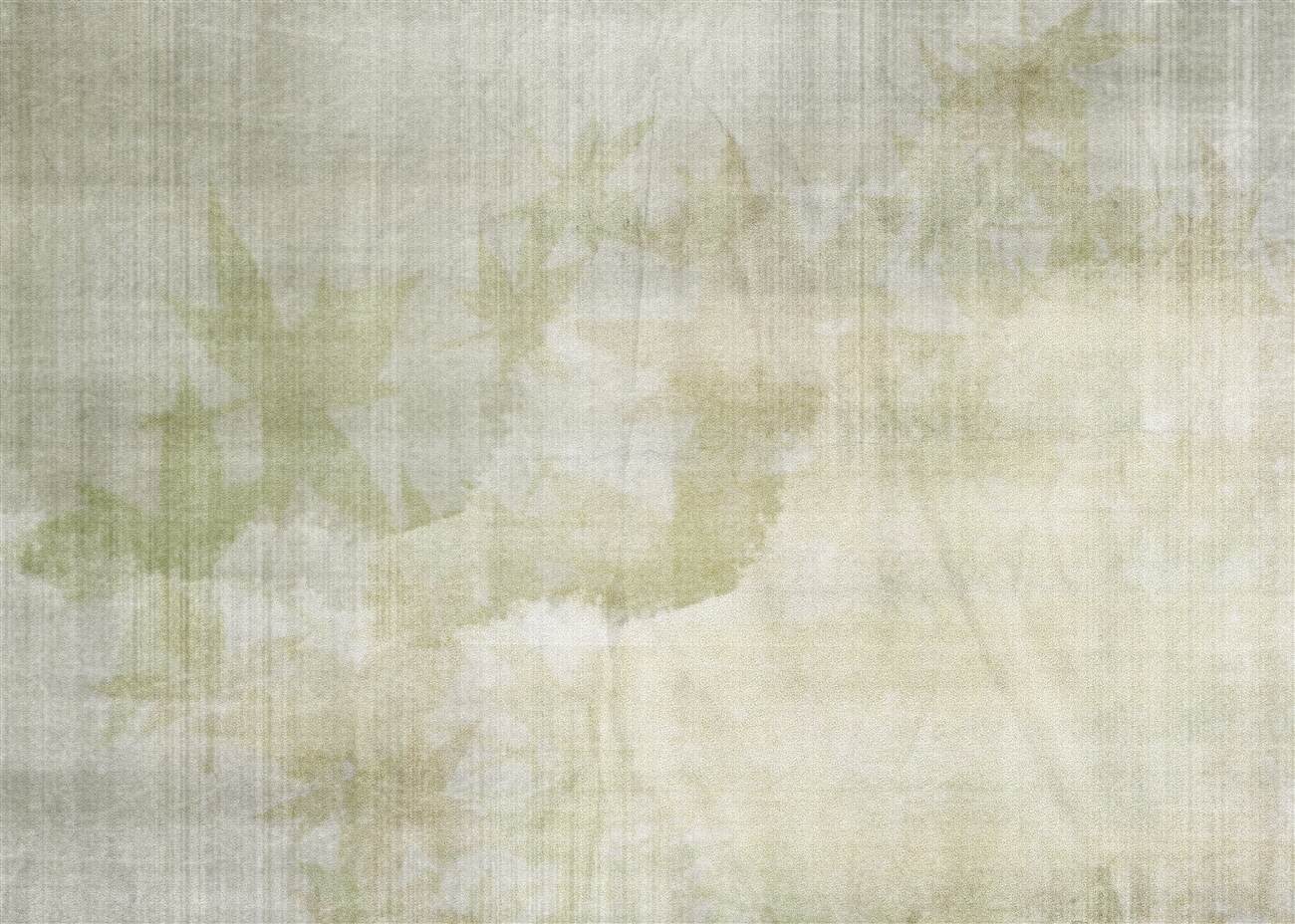 Last Product image