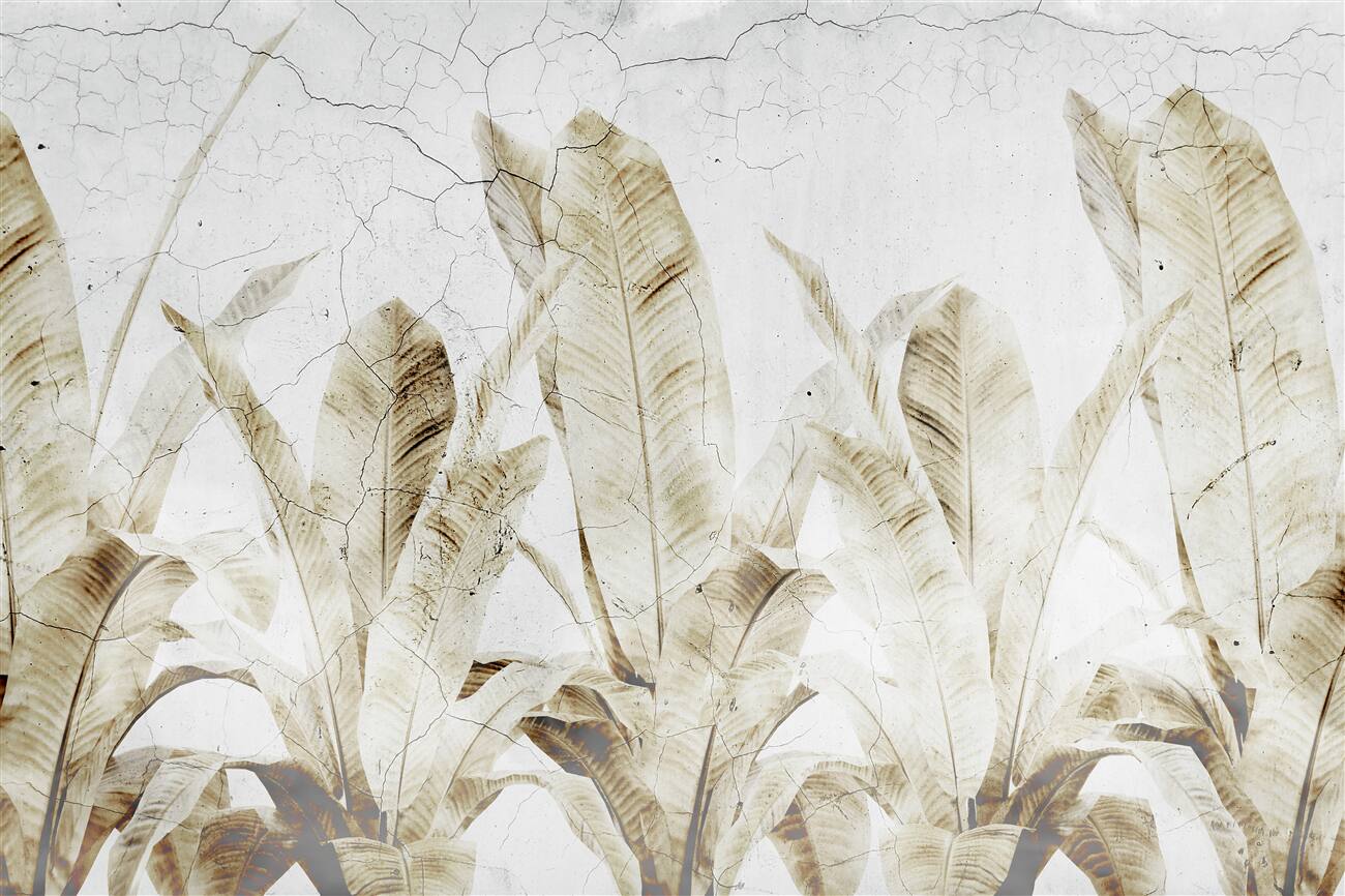 Last Product image