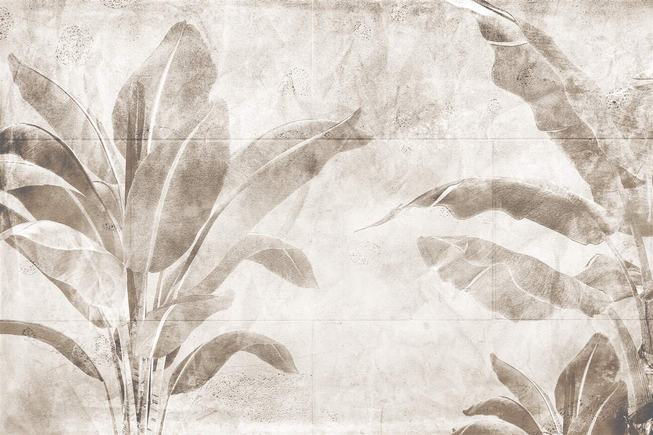 Last Product image