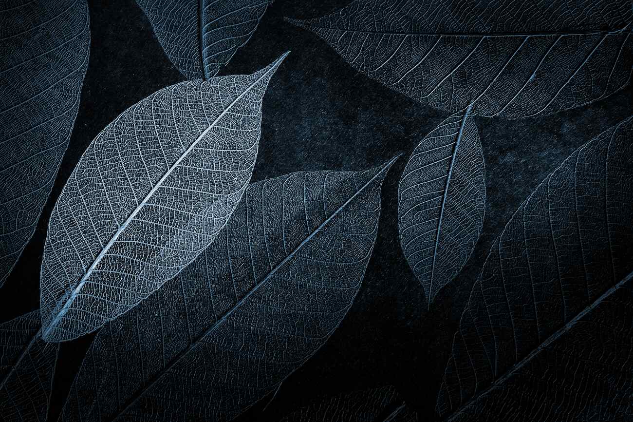 Last Product image