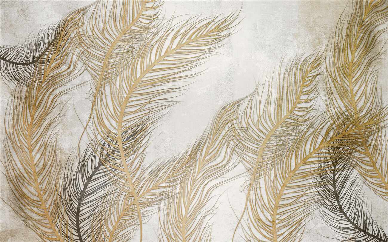 Last Product image
