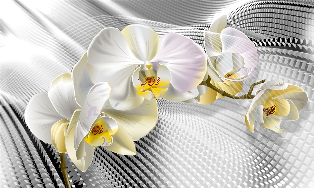 Last Product image