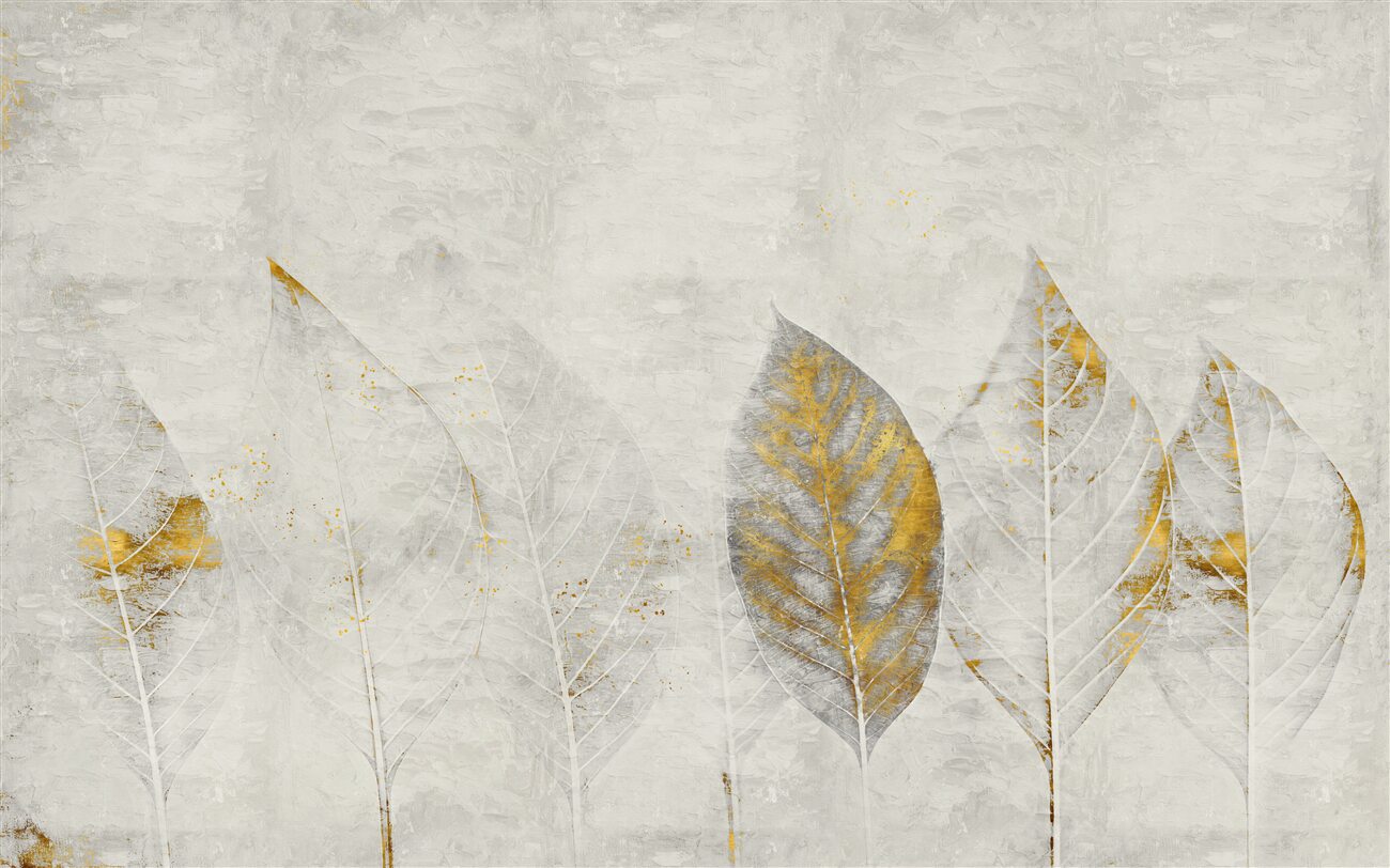 Last Product image