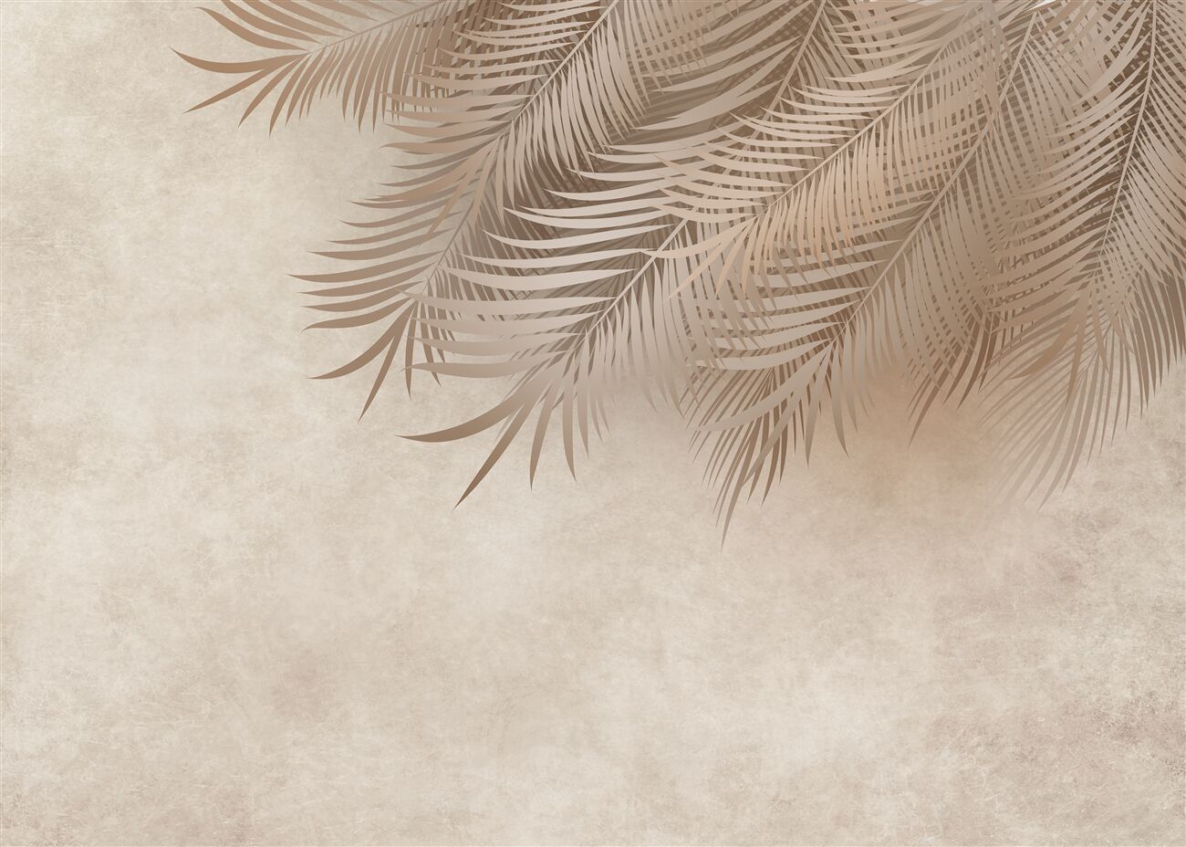 Last Product image