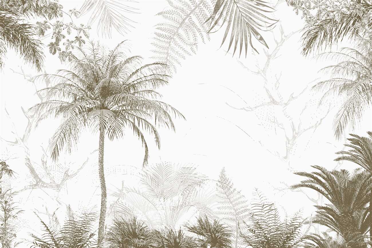 Last Product image