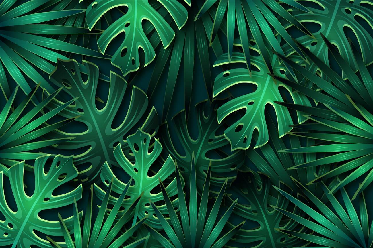 Last Product image