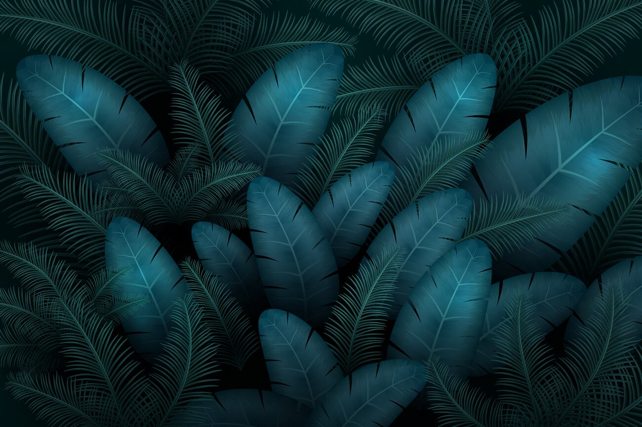 Last Product image
