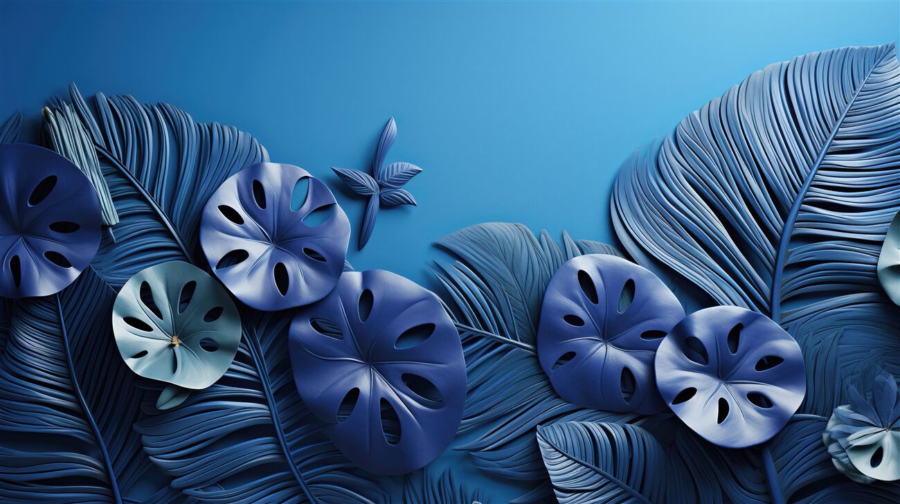 Last Product image