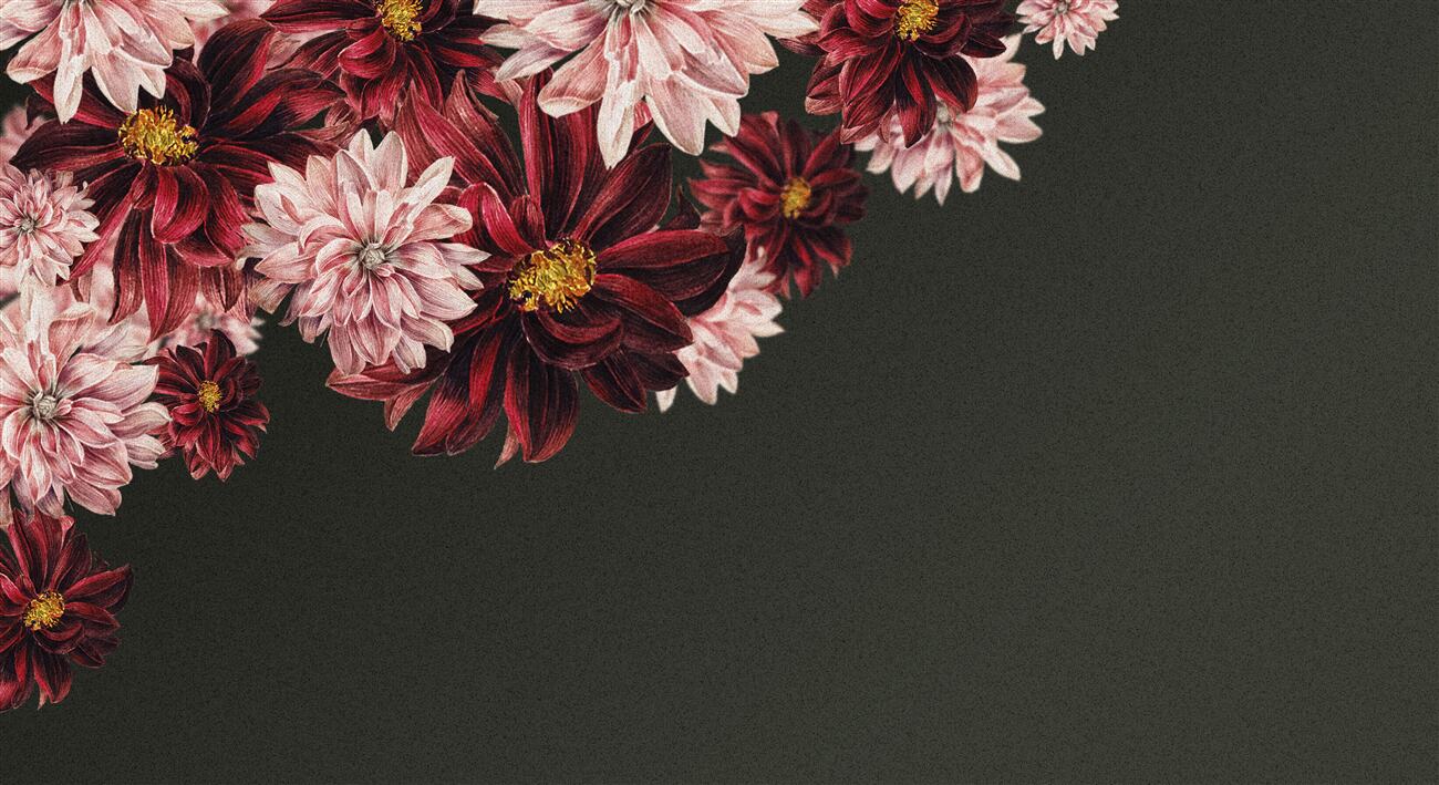 Last Product image