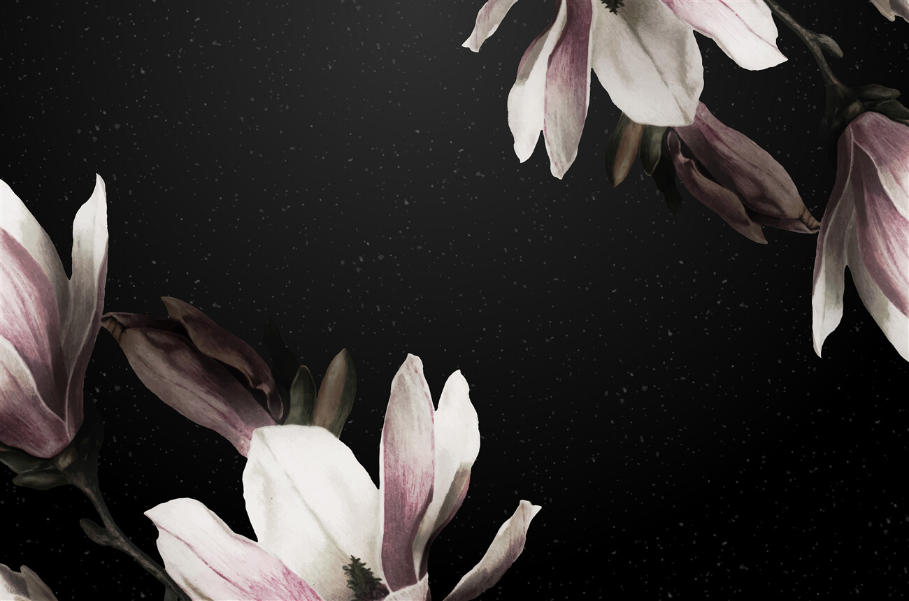 Last Product image