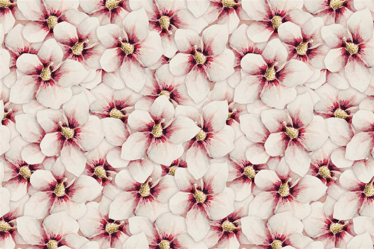 Last Product image