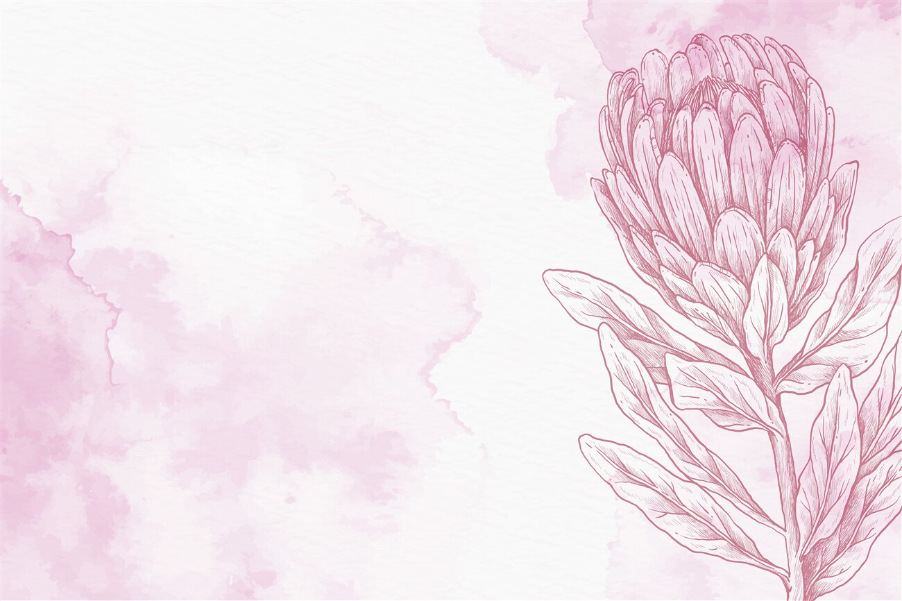Last Product image