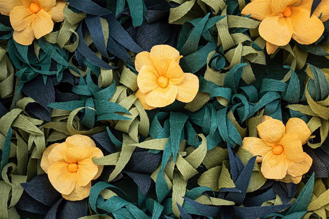 Last Product image