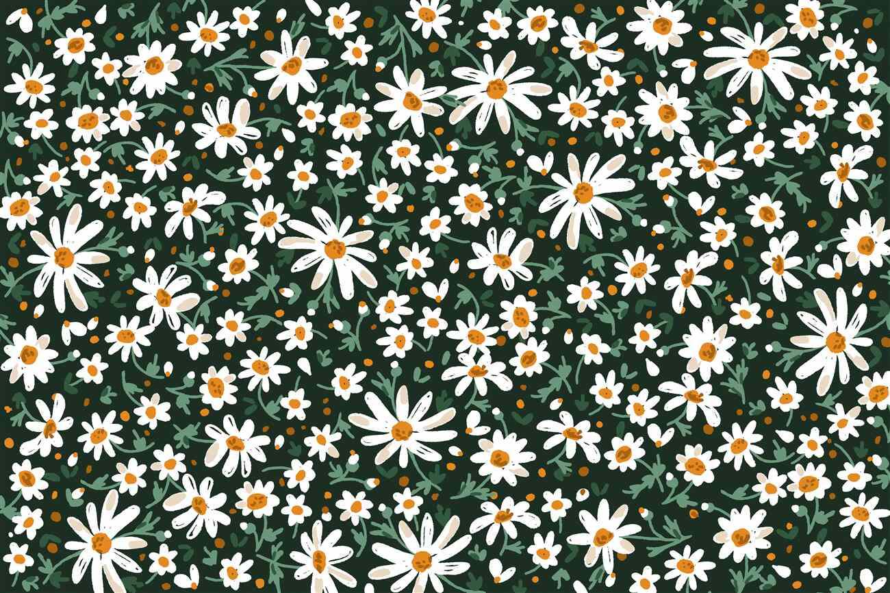 Last Product image