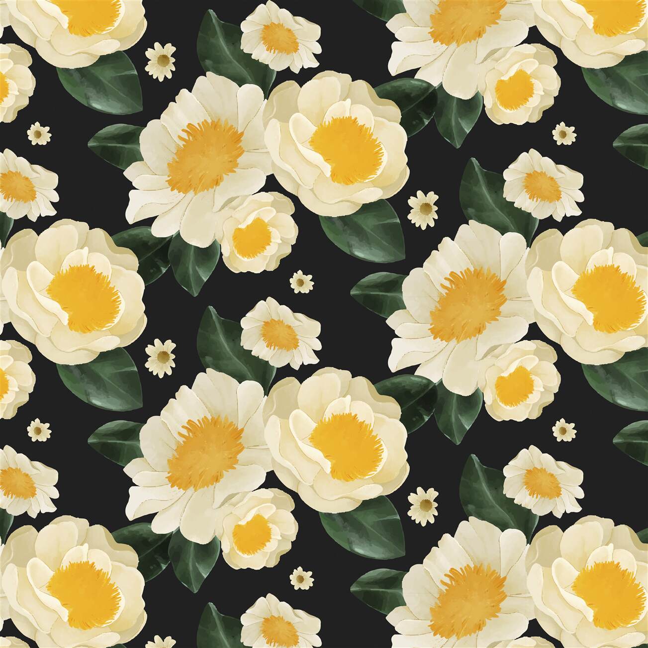 Last Product image