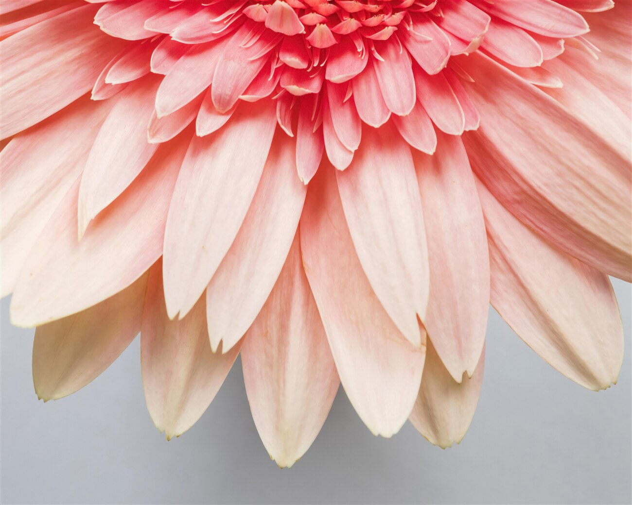 Last Product image